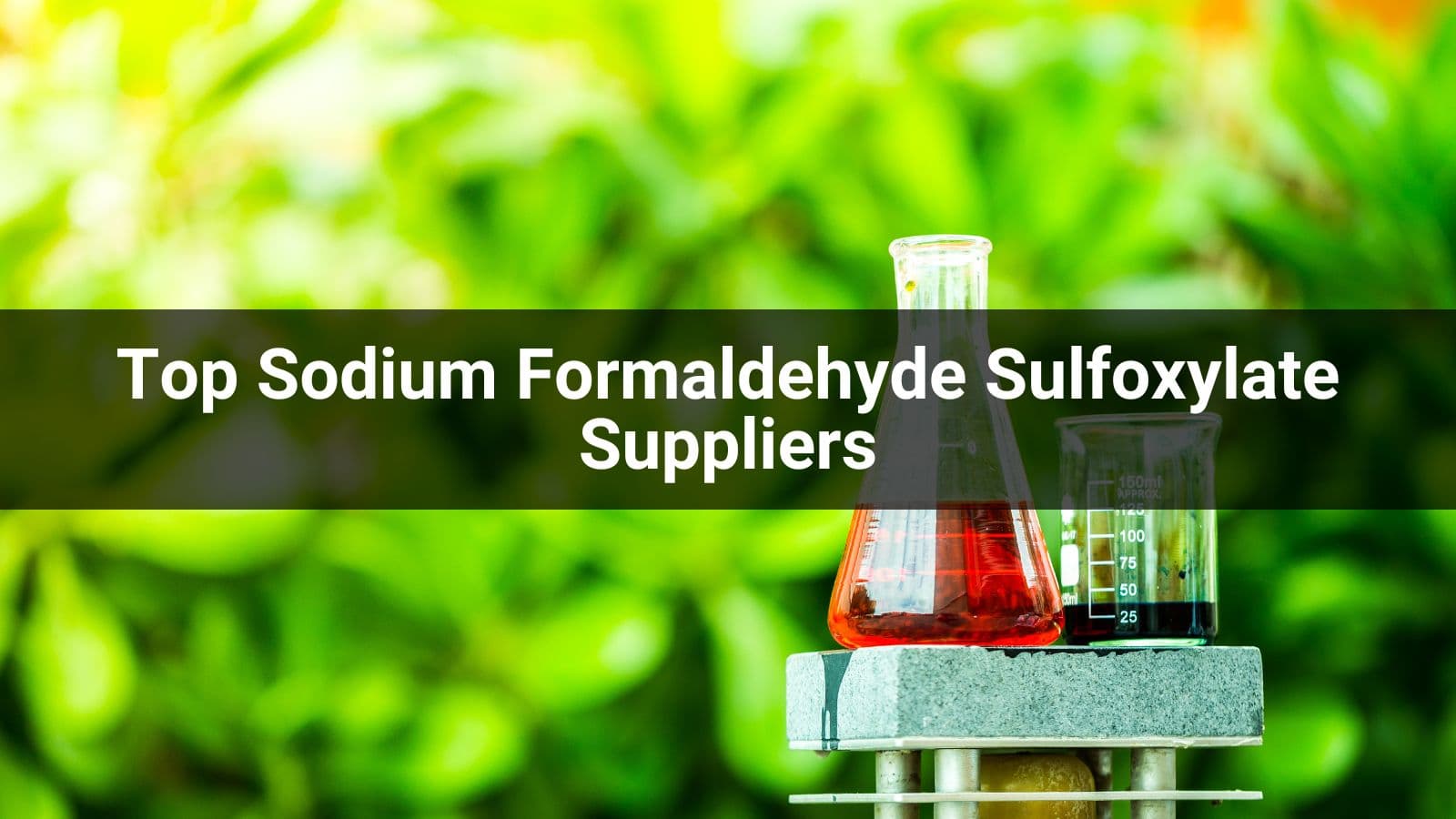 Top 10 Sodium Formaldehyde Sulfoxylate Suppliers in 2024